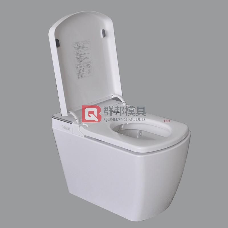 Intelligent Toilet  Mould14