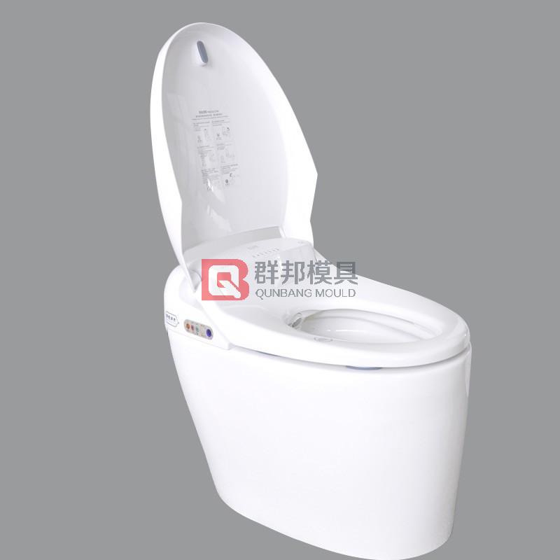 Intelligent Toilet  Mould 4