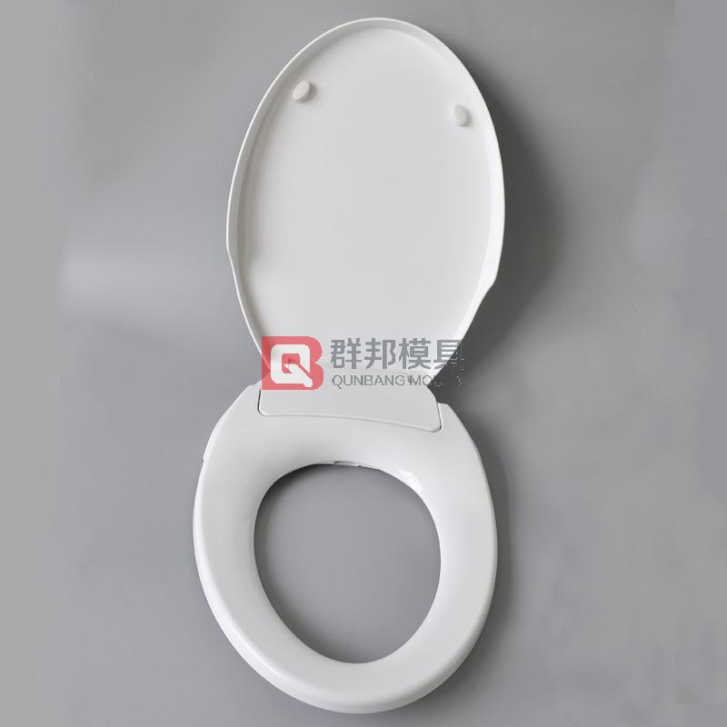 Intelligent Toilet  Mould35