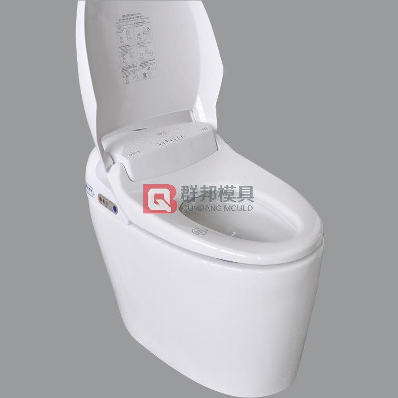 Intelligent Toilet  Mould6
