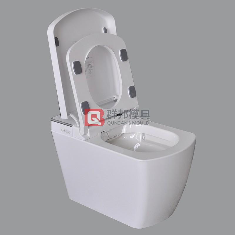 Intelligent Toilet  Mould15